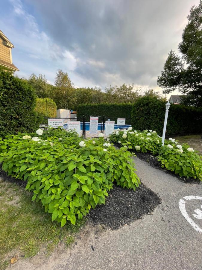 Appartamento Dida Saint-Sauveur-des-Monts Esterno foto